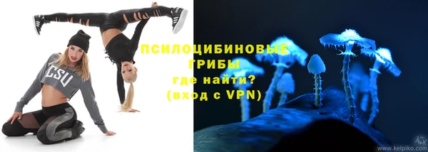 винт Армянск