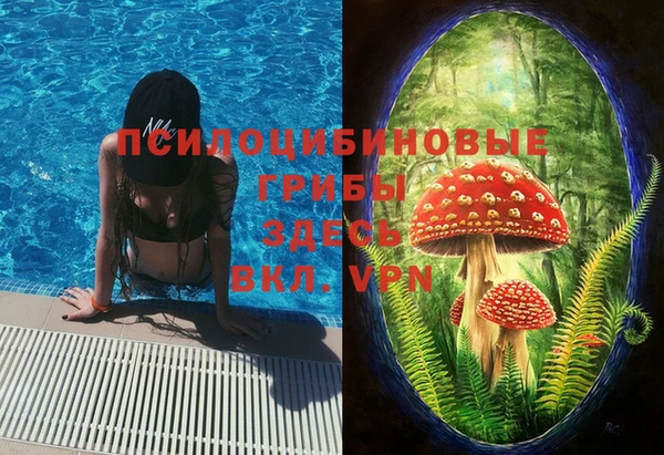 молекула духа Аркадак